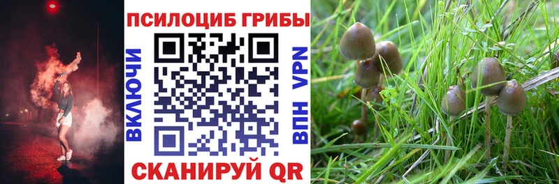 Галлюциногенные грибы MAGIC MUSHROOMS  Снежногорск 
